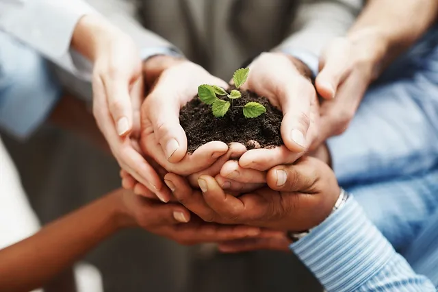 visuel des mains des membres d'une même équipe tenant une petite plante qui pousse